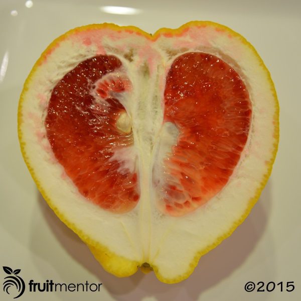 Cut fruit reveals a heart shape.