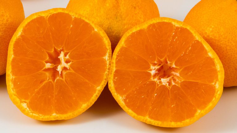 Owari Satsuma Mandarin Orange