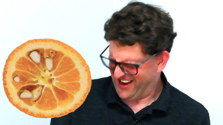 品尝Citrondarin，一种来自前苏联的奇异的柑橘类水果